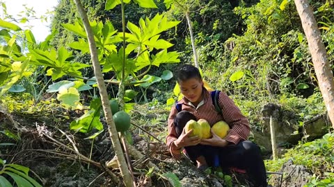 Harvest Papaya and Ginger flowers to sell at the market - Get money to buy a new pair of sandals