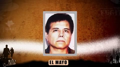 El Chino: Sinaloa Cartel's Highest Ranking Hitman