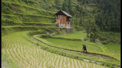 The Chinese Farmer by Alan Watts, misfortune and good fortune