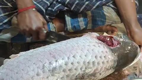 Amazing 10 KG Giant Rohu Fish Cutting By Expert Fish Cutter