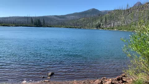 Central Oregon - Mount Jefferson Wilderness - Shoreline of Beautiful Wasco Lake