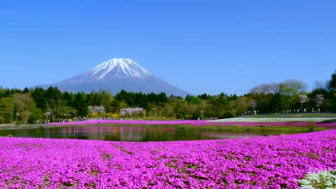 Interesting facts about Mount Fuji - Japan