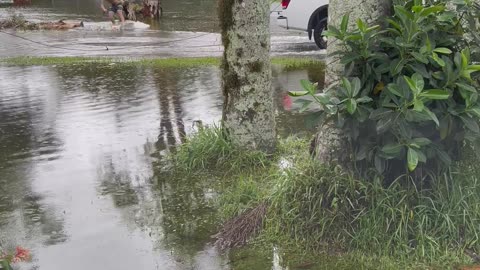 Pickup Powered Waterskiing on Floodwater