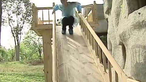 Cute pandas playing on the slide