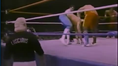 dream team of Brutus beefcake & Greg valentine as tag team champs vs. British bulldogs