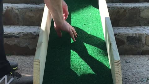 Man builds ramp for his pet as he fights against heart disease