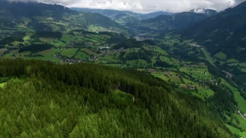 The "marmot granddad" of the Austrian Alps