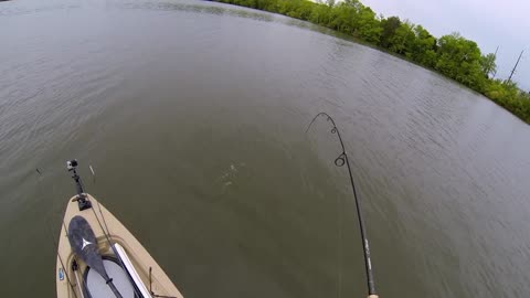 GoPro - Bass Fishing