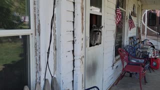 Jerry waiting for some A/C