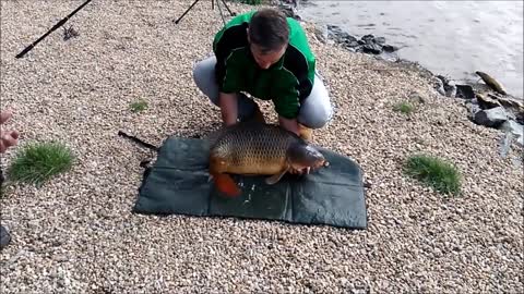 Huge Carp Isn't Going To Let Any Fisherman Take It Away