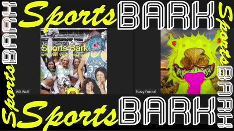 Sports Bark - Summer Sports Heating Up