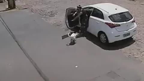 Security camera records a person abandoning a disabled dog. Fortunately, he was rescued later!