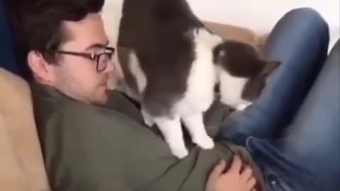 Funny cat video caught on camera 📸😂😂