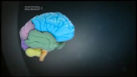 The beautiful documentary about the brain 4