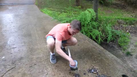 Baby Snapping Turtle vs Crayfish14