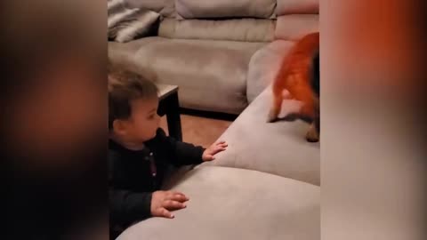 Cute Babies Playing With Cats and Dogs Part 4