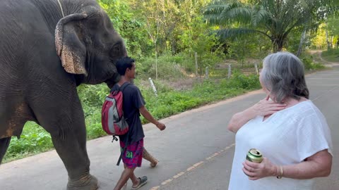 Pool Villa Rental in Ao Nang, Thailand - Near Elephants!