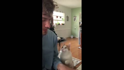 Cat loves owner's piano playing, requests to cuddle with him