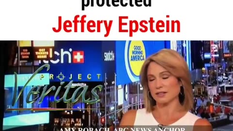 Amy Robach - An Old But Good Video - Epstein & The British Royals