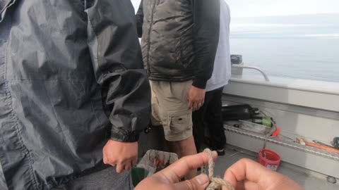 Halibut Fishing in Homer Alaska