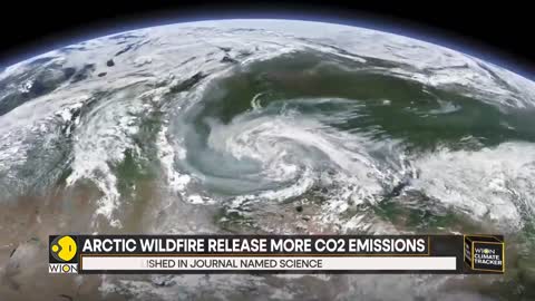 WION Climate Tracker: A warm Arctic, wracked by wildfires