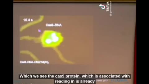 How the Protein Contained in the CV19VX Cuts the DNA