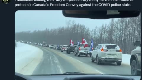 Liberty Conspiracy - Canadian Freedom Convoy Grows - On to Quebec! 2-5-22