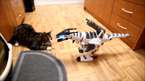 Cats Are Playing With RC Dinosaur