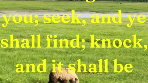 And I say unto you, Ask, and it shall be given you; seek, and ye shall find; knock