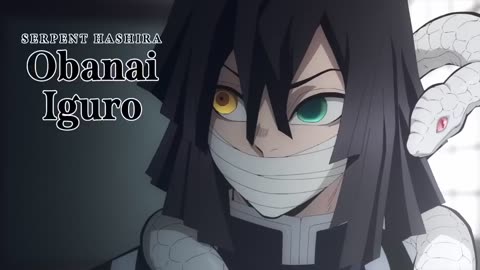 Demon Slayer- Kimetsu no Yaiba Hashira Training Arc Season