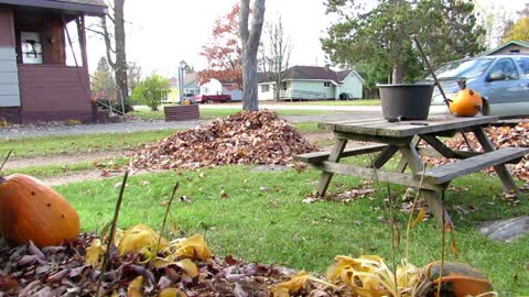 Hiding In Leaf Pile to Scare Wife Goes Wrong