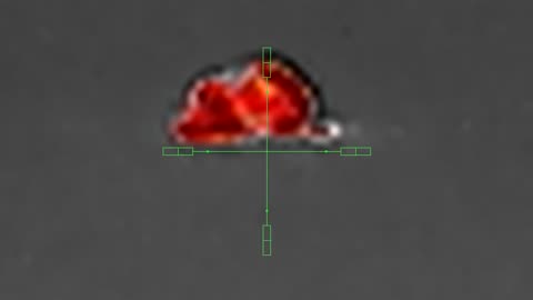 100yard shot X16 zoom RATTLER TS35x640