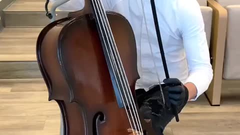 Chocolate Cello!