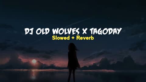 DJ OLD WOLVES X TAGODAY X LELOLAY AKIMILAKU SLOW BASS VIRAL TIKTOK