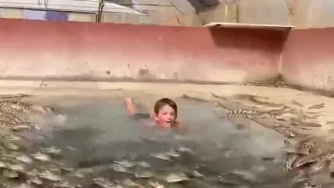 Kid Swimming With Hundreds Of Crocodiles #shorts #shortsvideo #video #viral