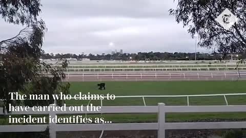 Protester dumps '1,000 litres of oily sludge' onto Melbourne Cup course