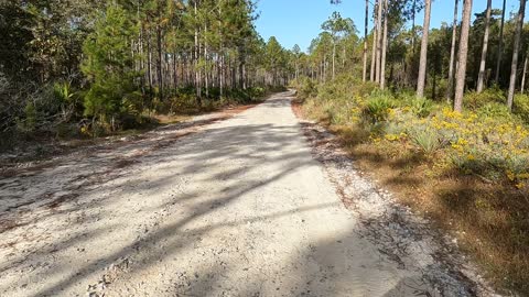 Brief off pavement lessons