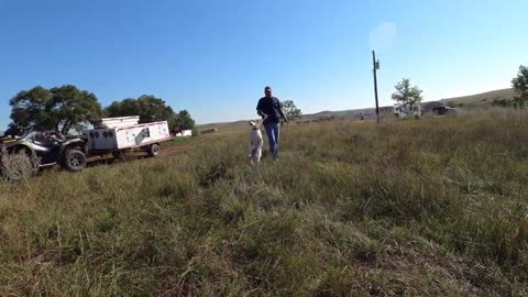 BIRD DOG TRAINING WITH SHAWN KINKELAAR 2023