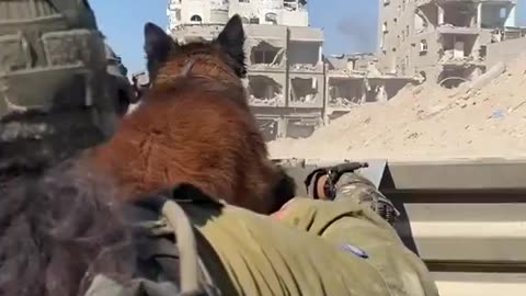 A female IDF soldier from the Oketz Unit with her dog inside the hell-hole called