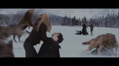 The Twilight saga breaking down fight scene