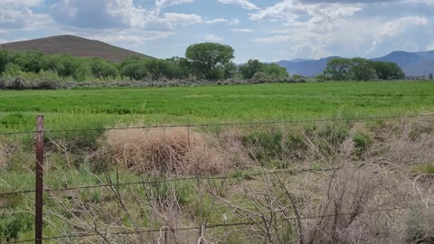 Coyote - Dayton, Nevada - Fort Churchill Road & Chavez Road