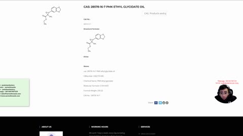 cas: 28578-16-7 PMK ethyl glycidate oil