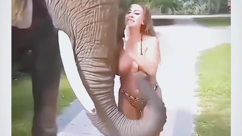 Sexy hot girl with 🐘 elephant funny moment