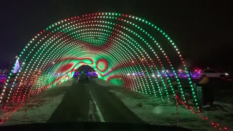 Pomeranians Go to Christmas in Color Light Show