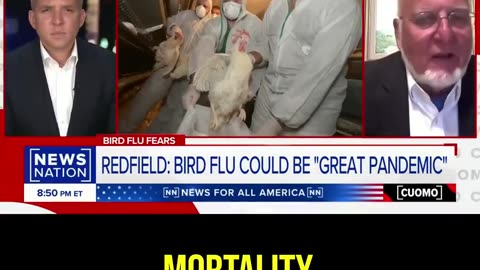 Ex-CDC Director - “There WILL Be a Bird Flu Pandemic”.