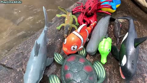 Sea Animal Toys This Summer at the Shore