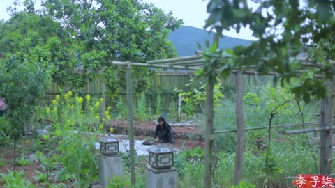 dig up edible wild herbs