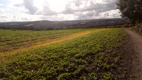 The field next to the motorway