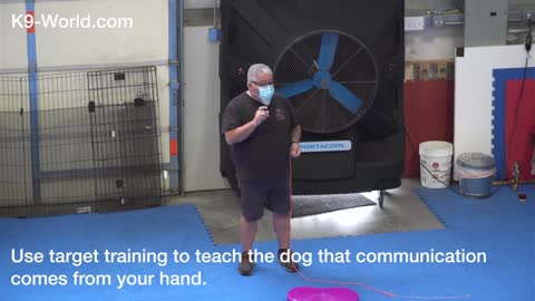 Colorado Dog Training Workshop