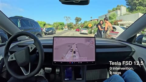 Tesla autopilot